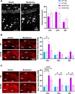 Meridianins Rescue Cognitive Deficits, Spine Density and Neuroinflammation in the 5xFAD Model of Alzheimer’s Disease